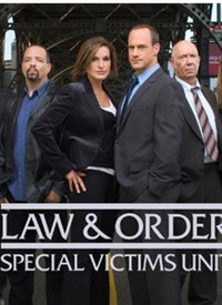 法律与秩序：特殊受害者第八季第09集
